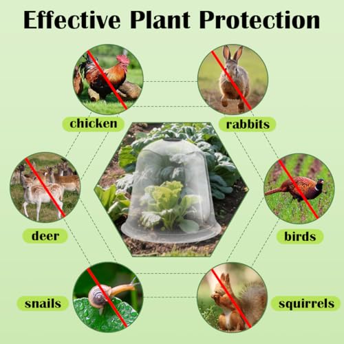 13 Inch Humidity Domes Garden Cloches for Plant Protection (13" D × 12" H 10P)