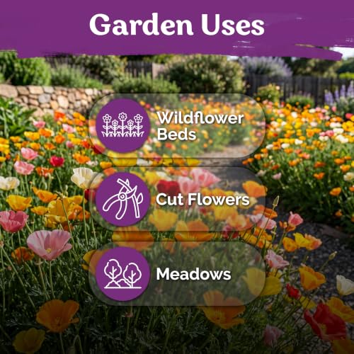 3 000 California Poppy Mix Heirloom Flower Seeds