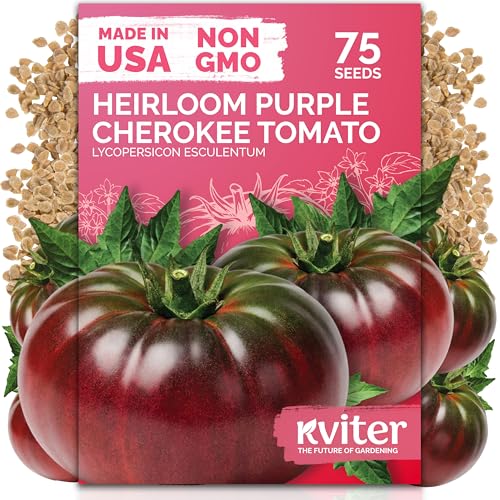 75 Cherokee Purple Tomato Heirloom Vegetable Seeds