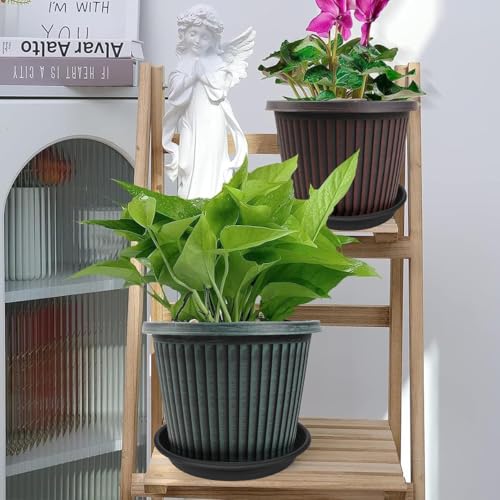 6 Pack Plant Saucers for Indoors