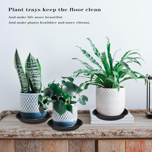 5 Pack of 14 inch Plant Saucer Plant Tray