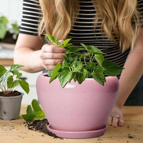 Ceramic Modern Glaze Succulent Planter Pot with Drainage Hole and Saucer 8 Inch Round Flower Plant Pot for Indoor Outdoor Herb Snake Plants (8 Inch / Pink)