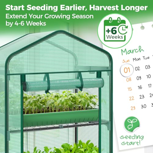 Mini Greenhouse for Indoor Outdoor (Green / 5 Tier Single Layer Roof)