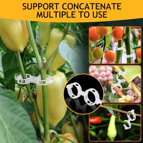 200Pcs Secured Plant Support Clips (200pcs White)