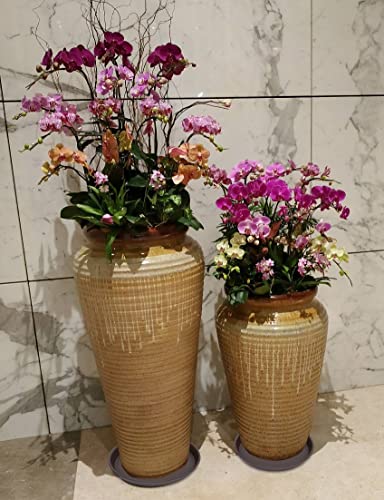 4 Pack of 14 inch Plant Saucers Bird Bath Bow Round (14" (4 pack) / Dark Brown)