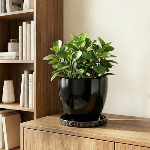Plant Water Catcher Tray 5.6 Inch (5.6" / Black)