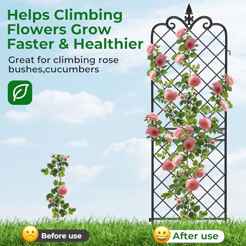 Garden Trellis 2 Pack 71”x20” Heavy Duty Rustproof Wall Trellis for Climbing Plants Outdoor Metal Decoration Large Trellis for Potted Plants Support Trellis Roses Black