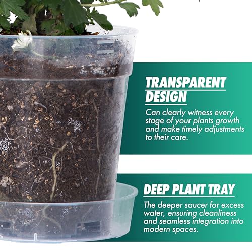 1 Gallon 6 Inch Clear Plastic Plant Pot with Drainage Holes (6.5" x 7")