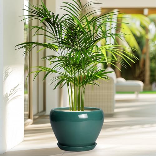 8 Inch Plant Pot (8 Inch / Green)