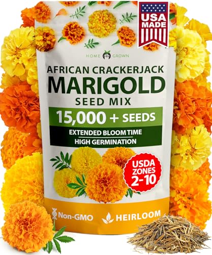 Crackerjack Marigold 15
