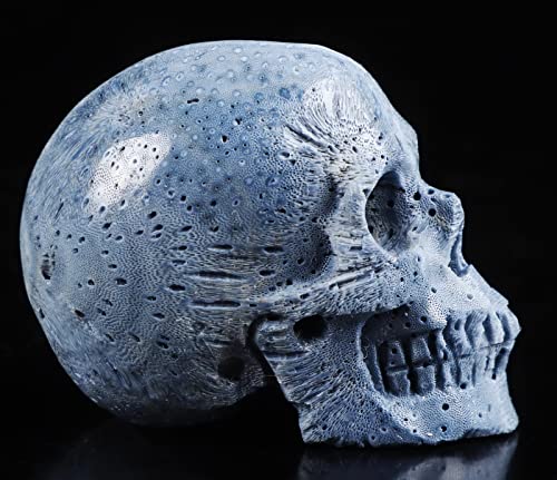 2.0" Blue Sponge Coral Crystal Skull (2.0" Blue Sponge Coral 7)