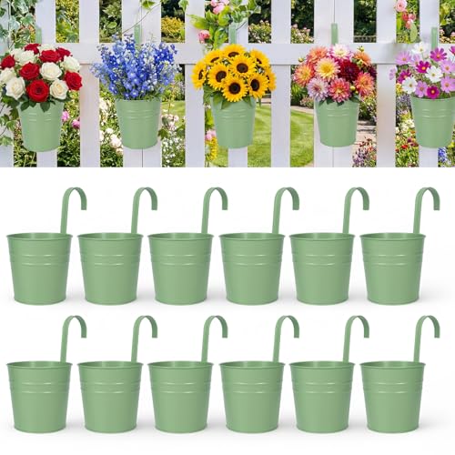 Hanging Flower Pots (Green(5in))