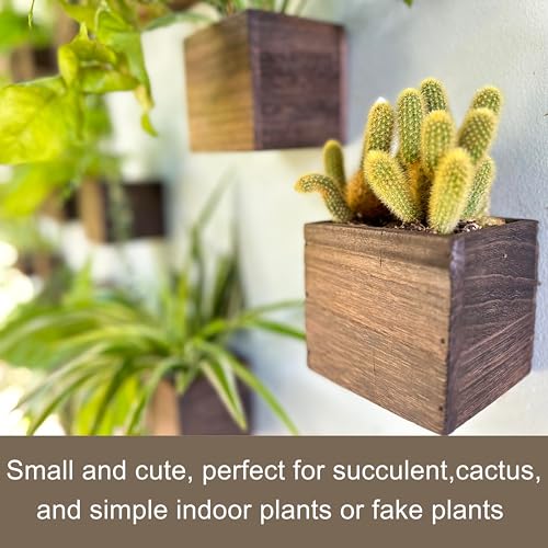 LaLaGreen Indoor Planter Box for Plants (12 Count)