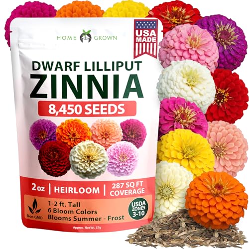 Lilliput Mix Zinnia 8450 Flower Seeds Zinnia elegans