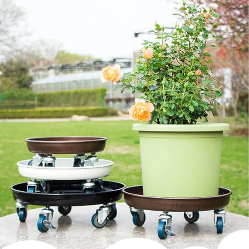 Rolling Plant Caddy Dolly with Wheels