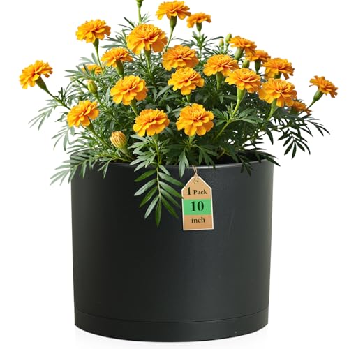 10 Inch Round Plastic Plant Pot with Drainage Holes and Saucer (Black / 10 Inch B)
