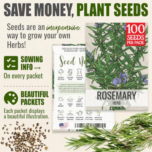 Rosemary Seeds to Plant Heirloom Non (2 Packs)