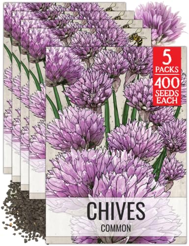 Herb Seeds to Plant Common Chives Heirloom Non (5 Packs)
