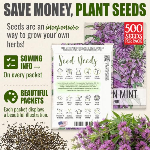 Lemon Mint Seeds to Plant Annual Heirloom Non (5 Packs)