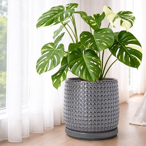 Beaded Ceramic Pot with Saucer (10.2 Inch / Graphite Blue)