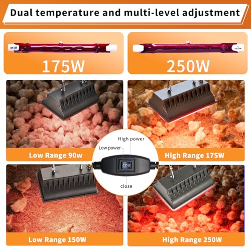 250W Chicken Coop Heat Lamp with Guard & Adjustable Temp