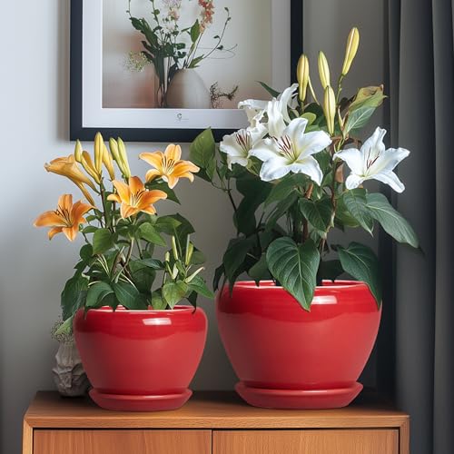 Ceramic Plant Pots (10+8+6 Inch / Bright Red)