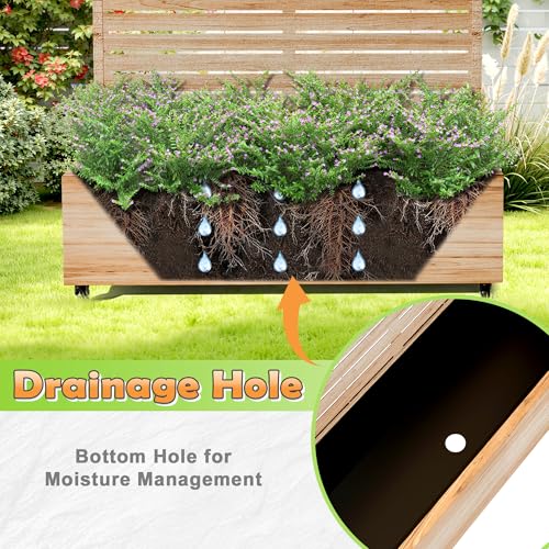 Metal Raised Garden Bed with Trellis and Wheels (Acacia Wood Grain-louvered / 71" x 47" x 16")