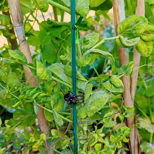 100 Pieces Green Bamboo Plant Stakes with 100 Pieces Orchid Clips and 100 Metallic Twist Ties for Supporting Stems Vines Stalks Grow Upright (300 Count)