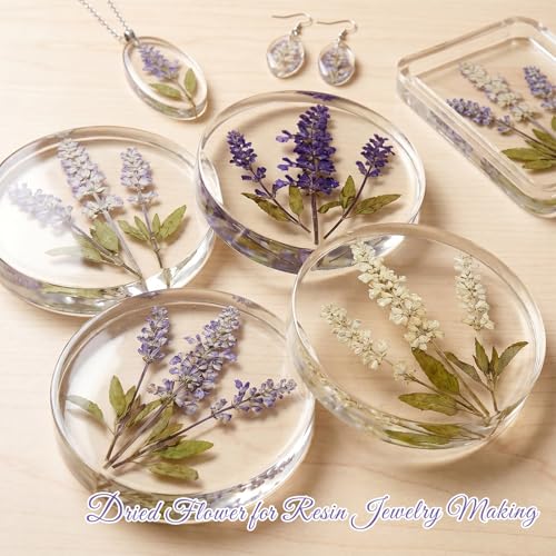 48 Pcs Natural Dried Pressed Garden Sage Flowers for Cake Decorating (Garden Sage)