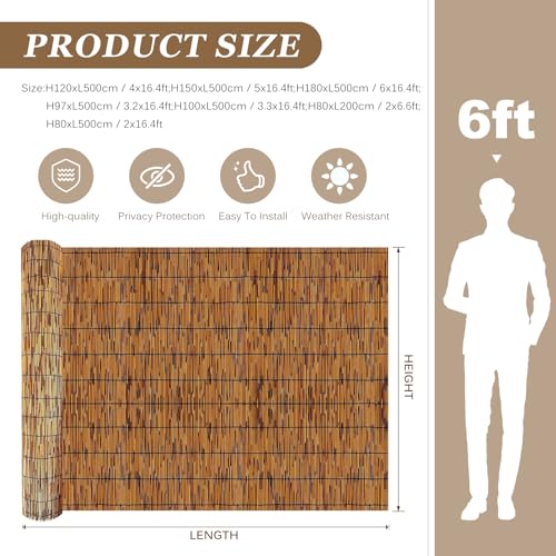 Natural Reed Fencing Rolls (3.3x8.2ft / Coffee)