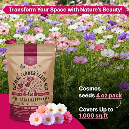 Cosmos Flower Seeds Pack 4 oz
