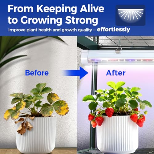 Indoor Greenhouse with Grow Light (Transparent / 4 Tier with Grow Light)