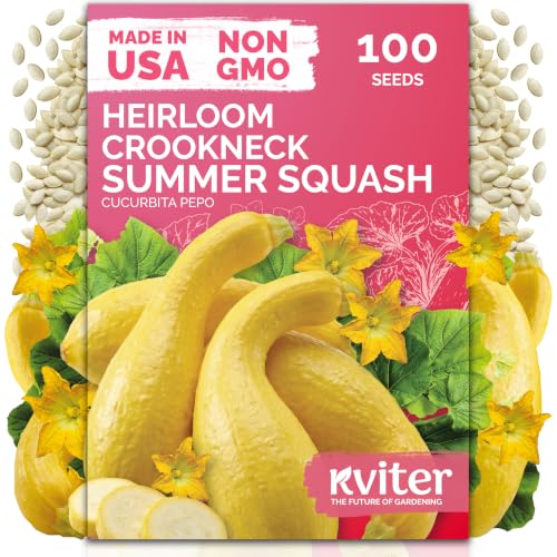100 Crookneck Summer Squash Heirloom Vegetable Seeds