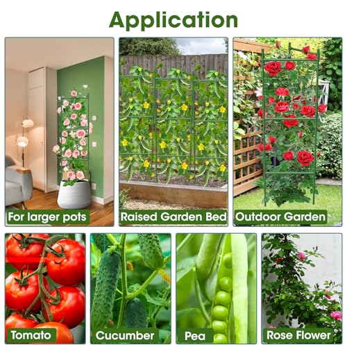 6 Pack Tomato Cage (6 pack)
