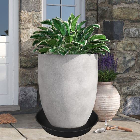 3 Pack of 25 26 inch Plant Saucer