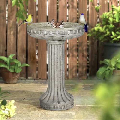 24" H Outdoor Bird Bath for Garden (Modern)