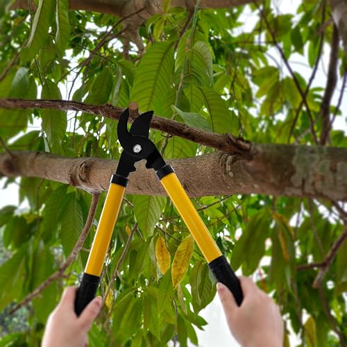 41 Piece Premium Gardening Tool Set (41 Count)