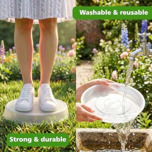 3PCS Round Stepping Stone Mold (10"/3PCS / Transparent)