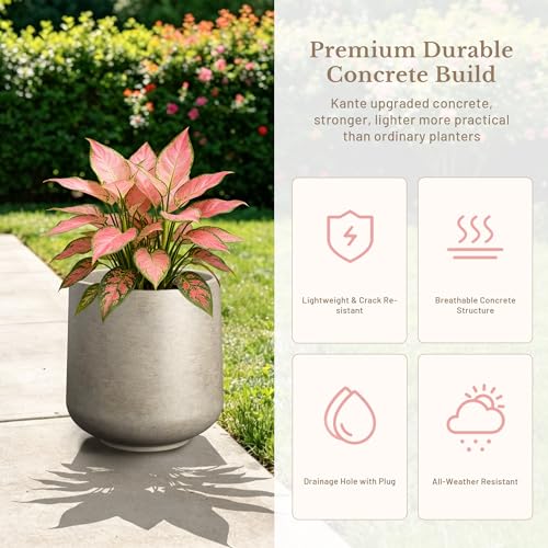 Weathered Concrete Planter 13" Dia All