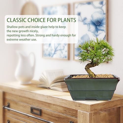 Set of 2 Large Bonsai Pots with with Drainage Hole (Green / 10"x7.8"x4.3")