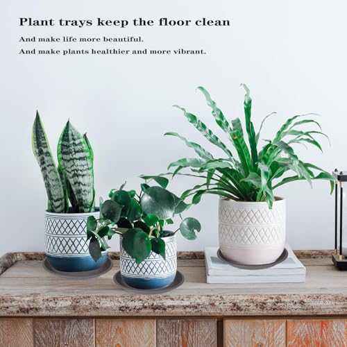 6 Pack of 8 inch Plant Saucer (8" (6 pack) / Brown)
