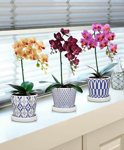 Small Ceramic Pots for Plants (Blue & White)
