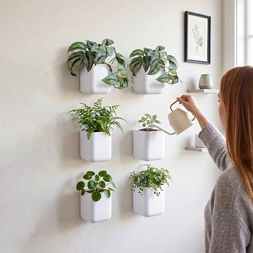 3.5 Inch Wall Mounted Self (3.5" (6 Pack) / White)