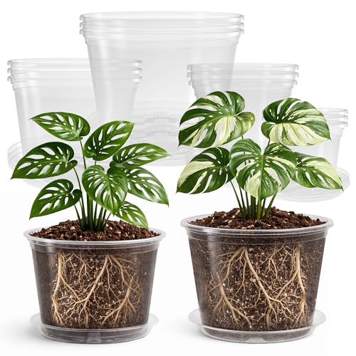 Clear Nursery Pots with Saucers (5/6/8/10 Inch-12Pcs)