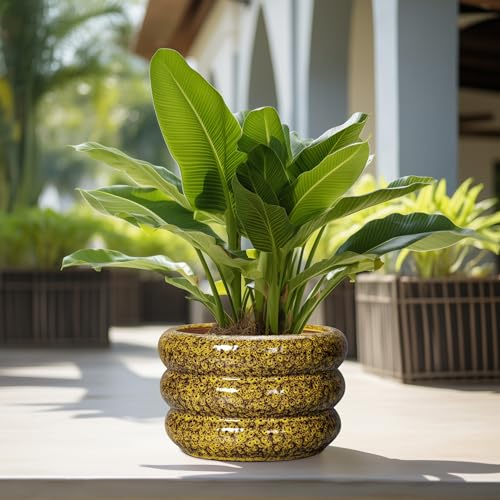 Ceramic Pots for Plants (13 Inch / Leopard Print Yellow)