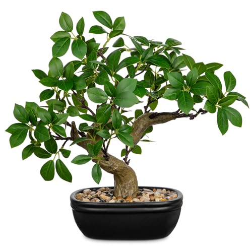 Artificial Bonsai Tree 12.9 Inch Faux Ficus Plant in Ceramic Pot with Pebbles Fake Green Potted Plant for Home Office Desk Decor Indoor Zen Table Centerpiece (Green)