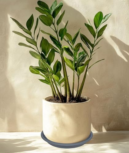 4 Pack of 16 inch Plant Saucer