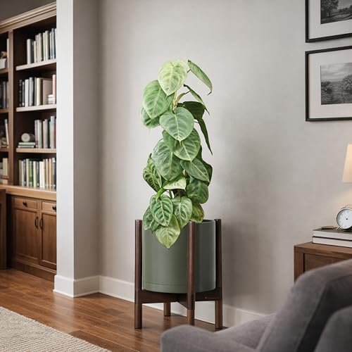 Plastic Pot with Walnut Wood Stand (Olive Pot + Walnut Color Stand / 10 Inch)