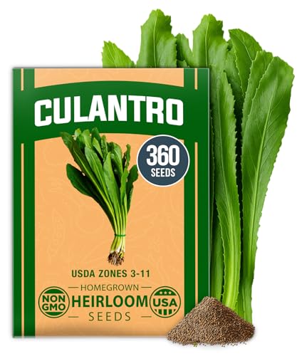 Culantro Seeds
