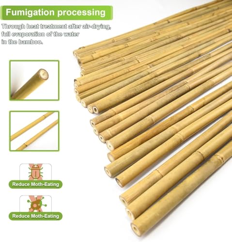 5 8" D 6 Feet Bamboo Stakes 50 Pack (50 Count)